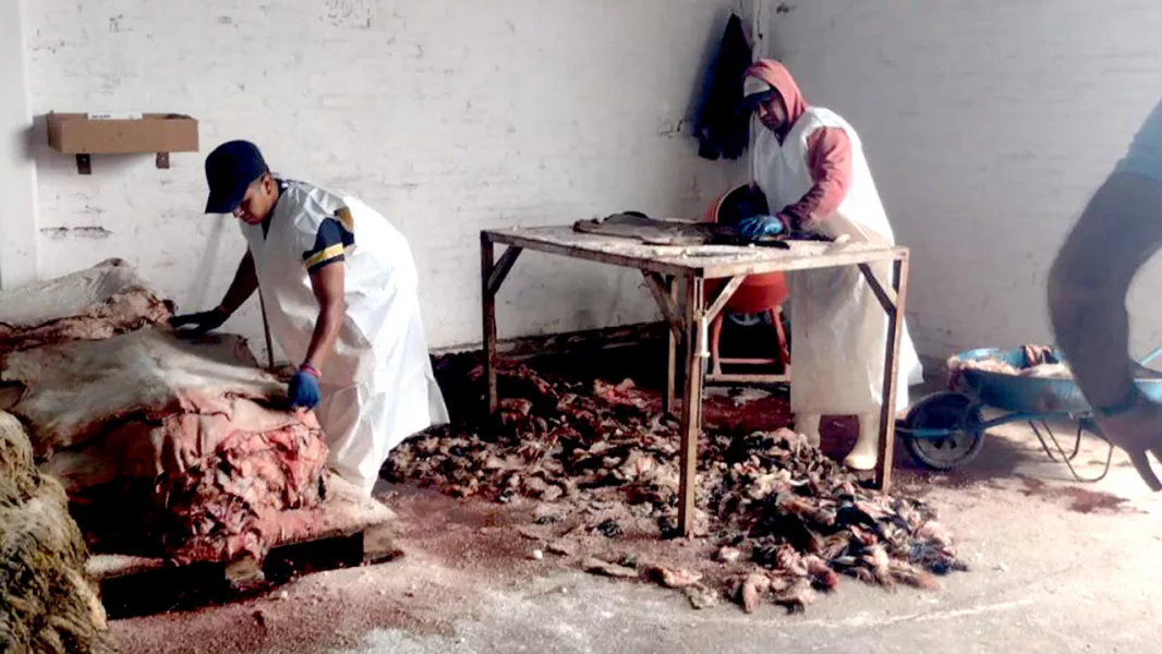25501-cooperacion-con-chaco-para-ampliar-mercados-a-la-produccion-ovina-y-caprina