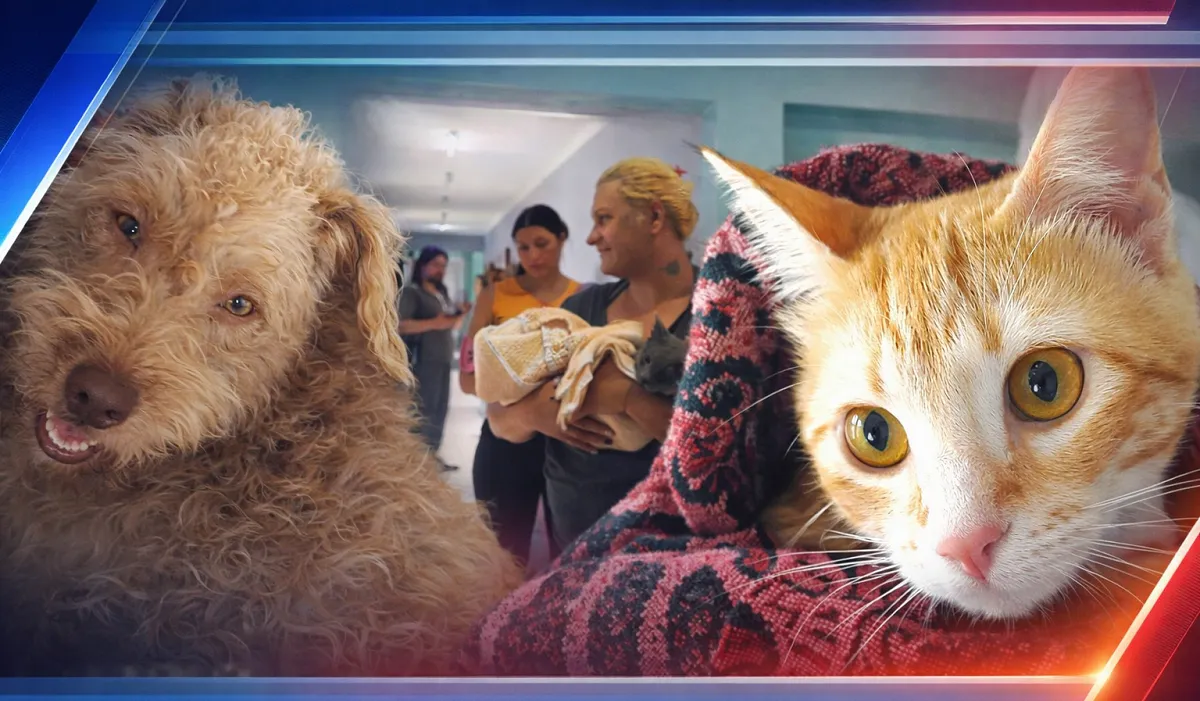 ChatGPT Image 3 feb 2026, 12_15_24 a.m.