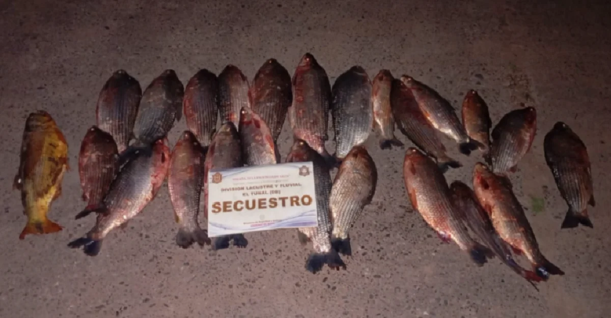 Peces