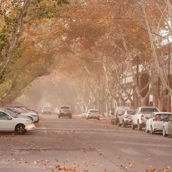 pronostico-del-clima-viento-zonda-png.