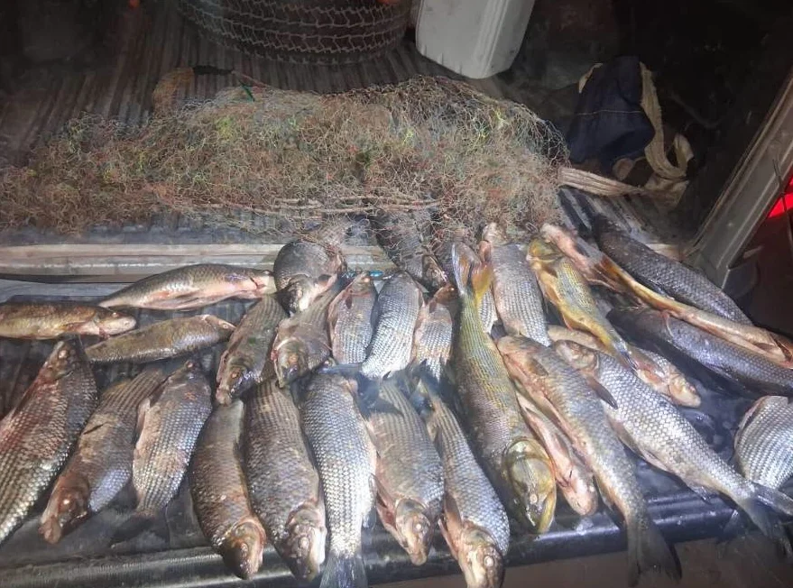 pesca ilegal
